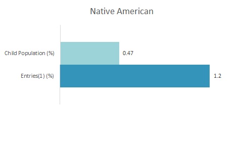 2019 Disparity Indices by Ethnicity: Native American