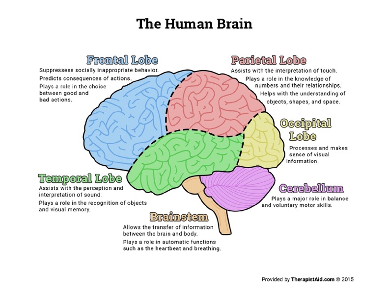 BRAIN636435387486607011 BRAIN636435387486607011